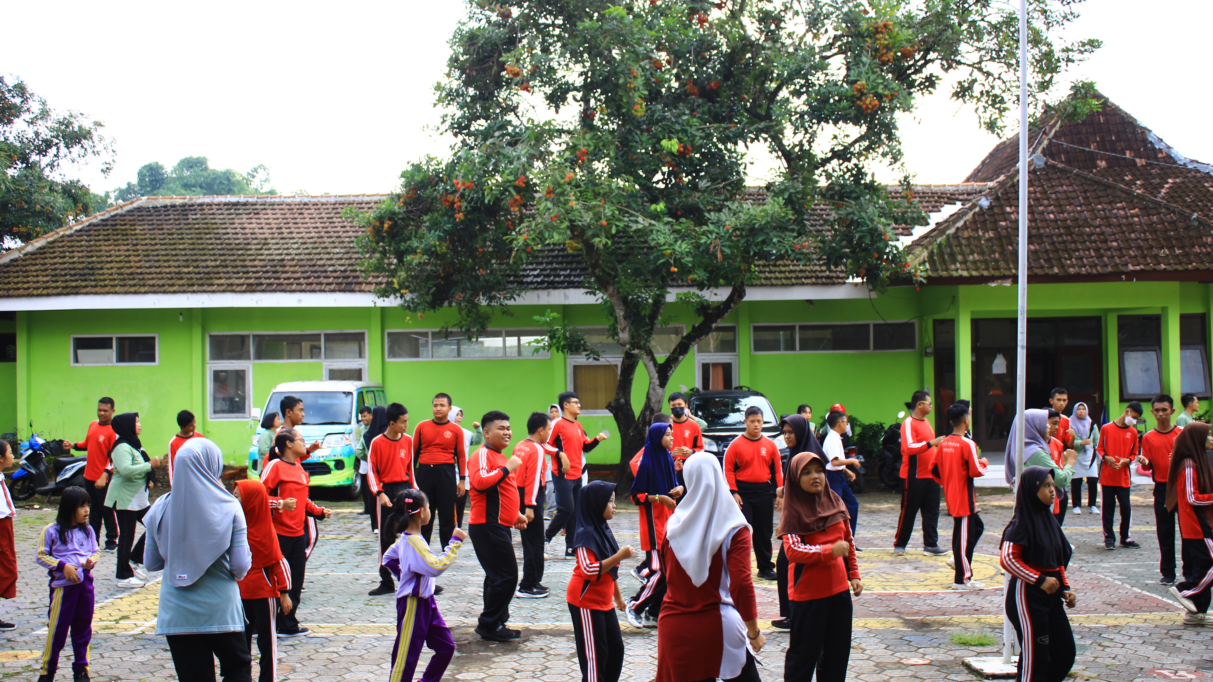 Image 2