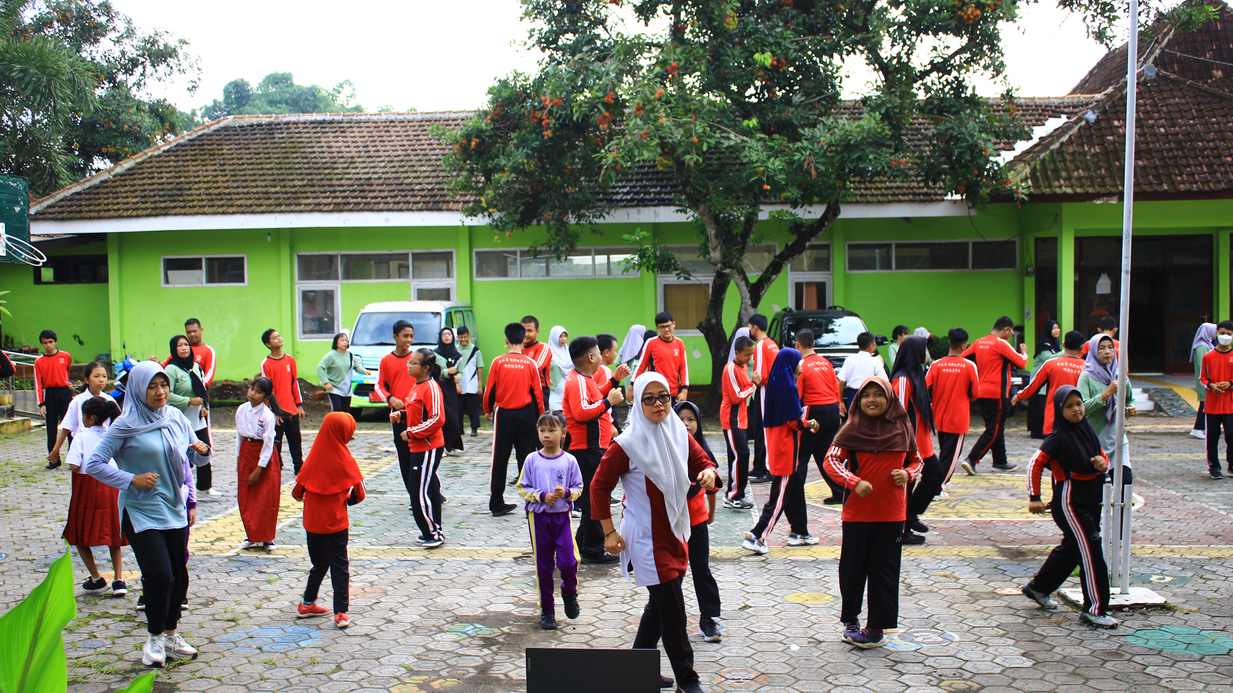 Image 2